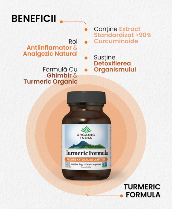 Turmeric Formula - Antiinflamator Natural 60 caps Organic India [2]