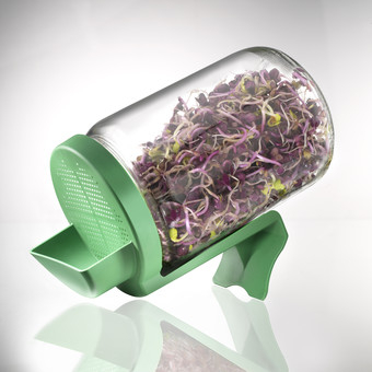 Diverse - GERMINATOR TIP BORCAN CU PROTECTIE LA SCURGEREA APEI