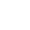 Diplomatic Shop