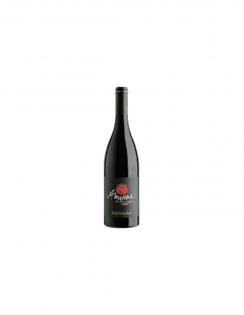 BAUTURI - ALLEGR.C.GIARA AMARONE 0.75L
