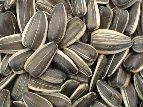 Sarate - BEST NUTS SEMINȚE PESTRIȚE 800G
