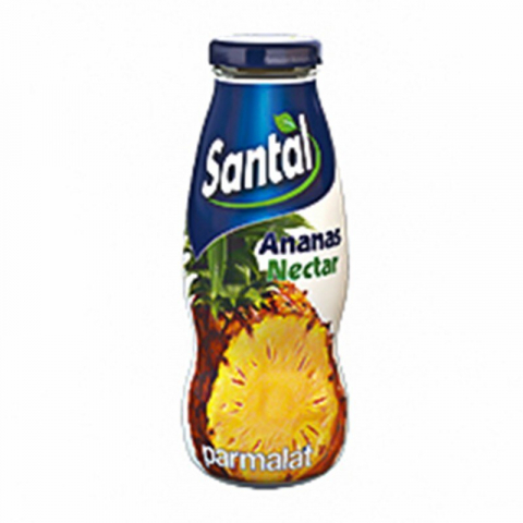 Bauturi nealcoolice - Suc Natural Santal Ananas Nectar SGR 0.2L