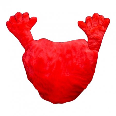 Perna inima cu maini [2]
