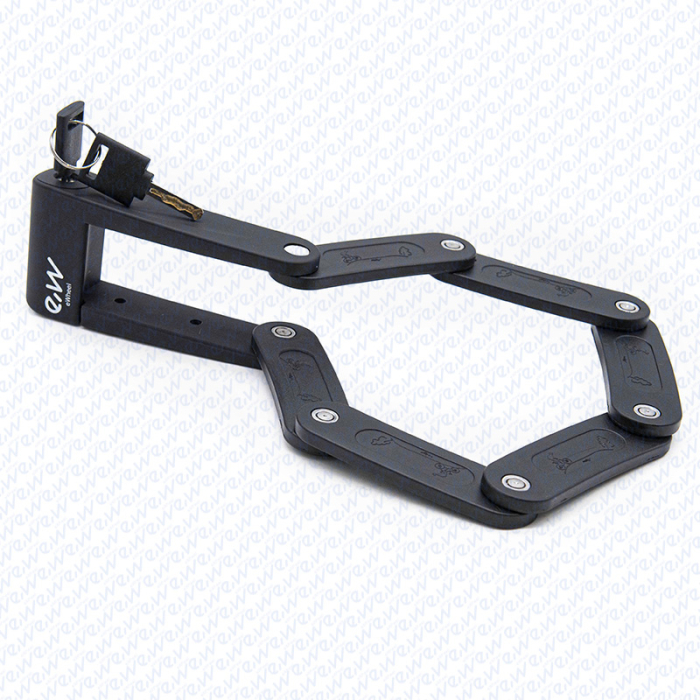 Antifurt Ewheel Model 5 [4]