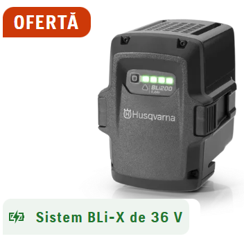 Acumulatori si Incarcatoare - Acumulator BLi 200