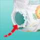 pampers pants nr.6.jpg [5]