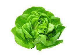 Fructe si Legume - Salata verde Romania Cal.I.