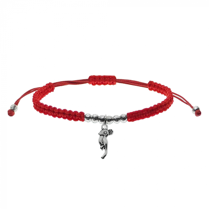 Martisor Bratara snur rosu impletita manual personalizata Papagal argint 9717390 Dras [1]