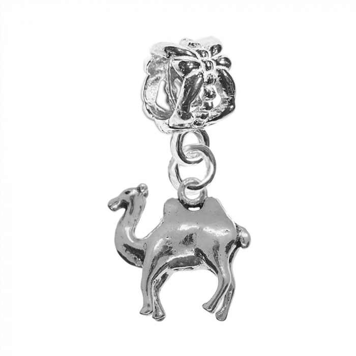 Charm argint Camila 9709480 Dras [1]