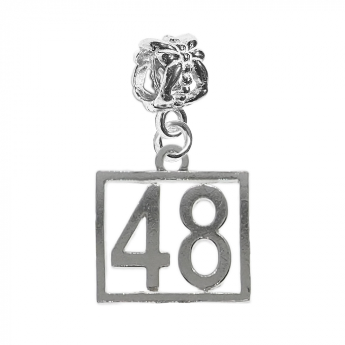 Charm argint Cifra 48 numar norocos cifre aniversare 10254_8360 Dras [1]