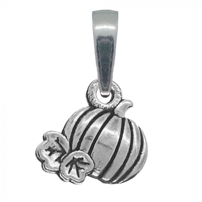 Pandantiv argint Dovleac 9925115 Dras [1]