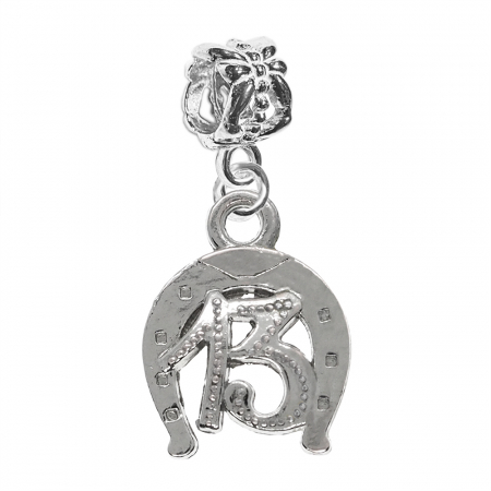 Cu potcoave - Charm argint Potcoava Cifra 13 9911480 Dras
