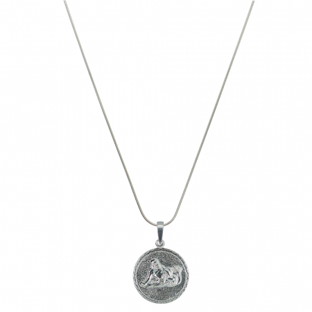 Lantisoare din argint cu zodiace: - Lantisor argint personalizat medalion zodie Varsator zodiac european argint 4202SCH580 Dras