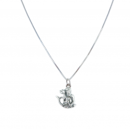 Lantisoare din argint cu zodiace: - Lantisor argint personalizat pandantiv zodie Varsator zodiac european argint 9247VEN255 Dras