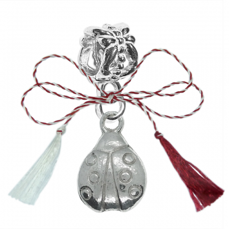 Charmuri - Martisor Charm argint Mamaruta 9991430 Dras