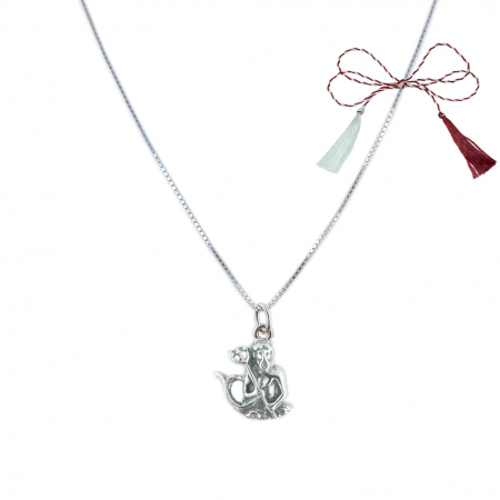 Lantisoare/coliere - Martisor Lantisor argint personalizat pandantiv zodie Varsator zodiac european argint 9247VEN255 Dras
