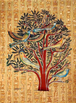 copacul vietii in Egipt