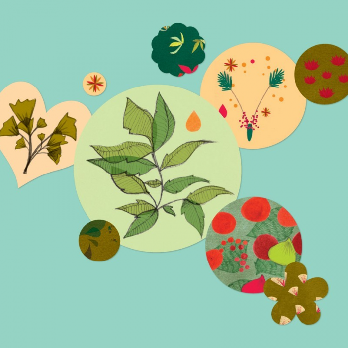 Set stickere pentru papetarie Botanica [4]