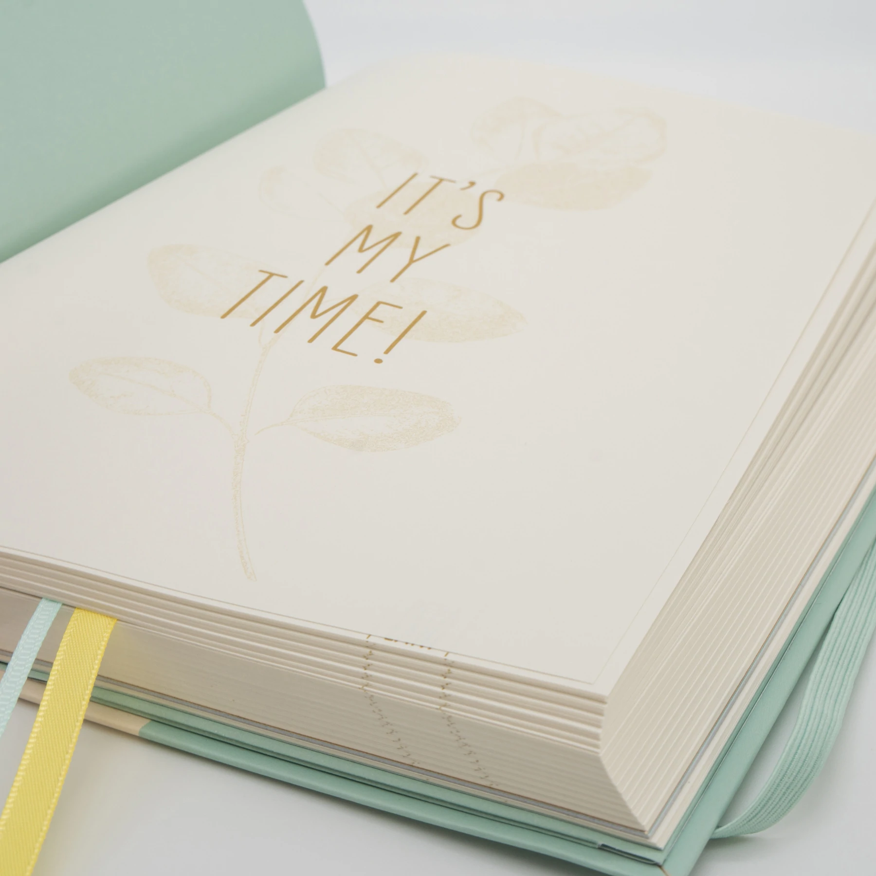 Jurnal Bullet A5 Pepa Lani Time to Fly cu stickere incluse [4]