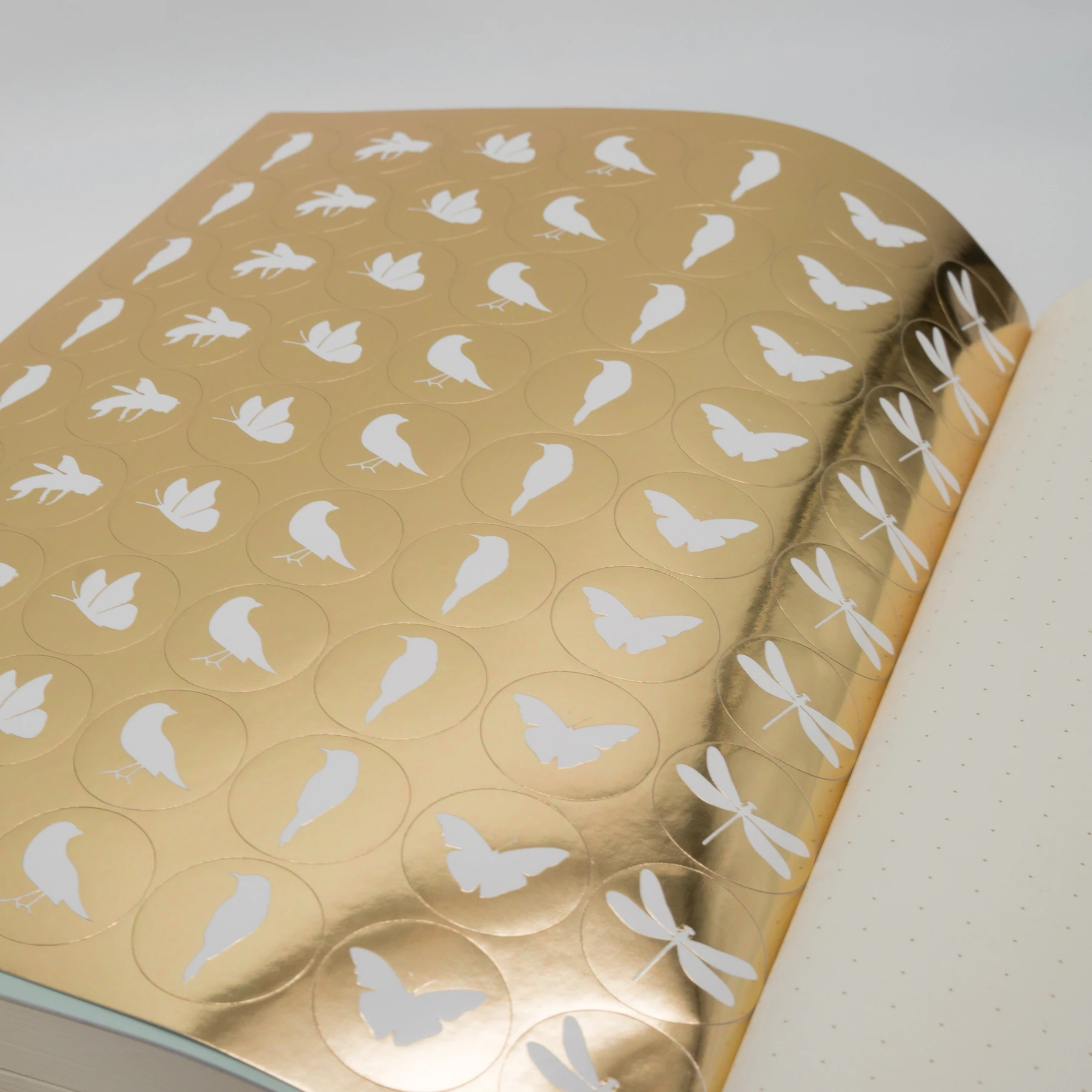 Jurnal Bullet A5 Pepa Lani Time to Fly cu stickere incluse [7]