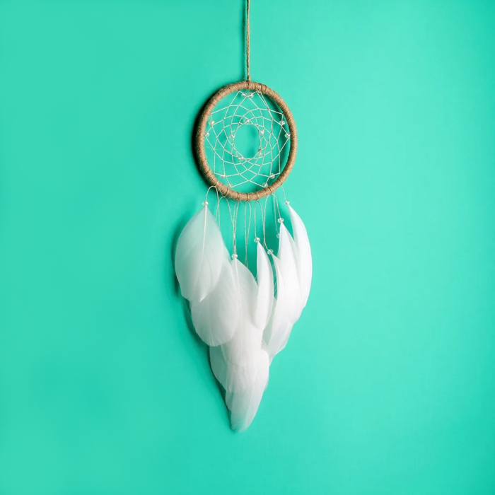 Dreamcatcher Boho Chic [4]