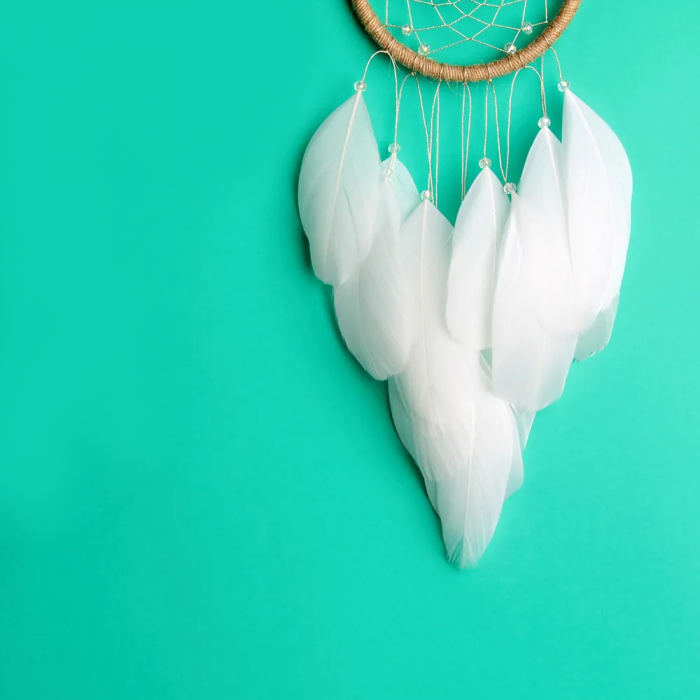Dreamcatcher Boho Chic [3]