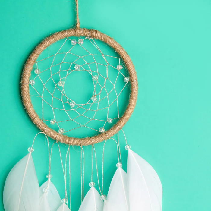 Dreamcatcher Boho Chic [2]