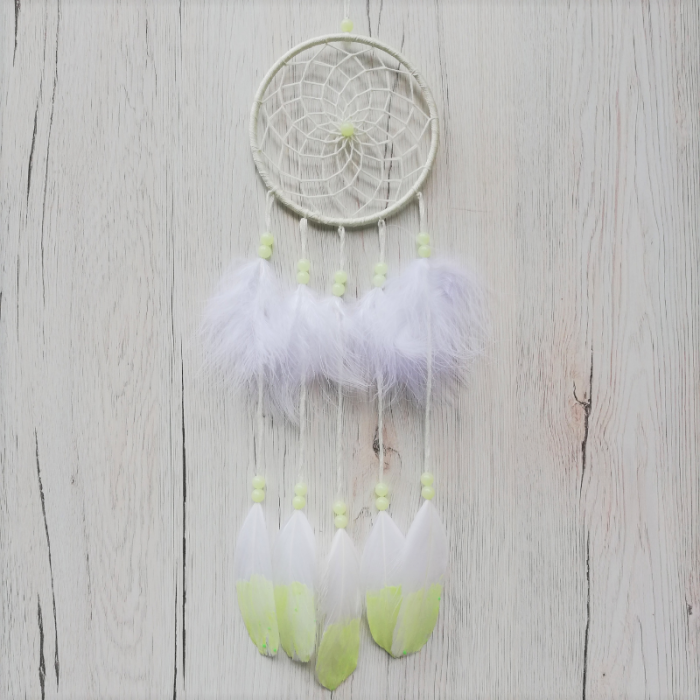 Decoratiune Fosforescenta Dreamcatcher [3]