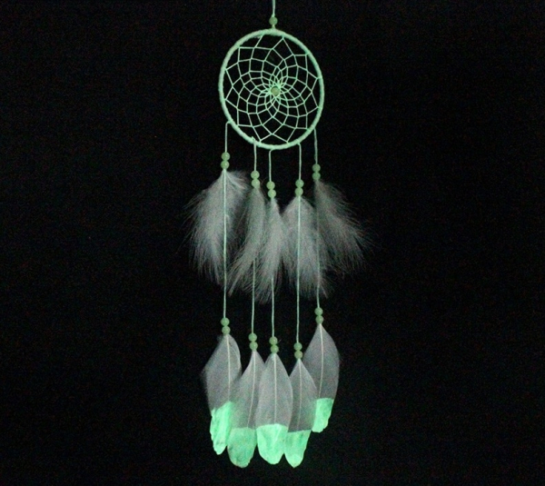 Decoratiune Fosforescenta Dreamcatcher [2]