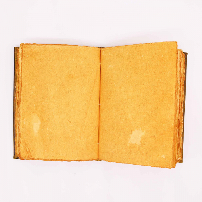 Jurnal din Piele cu pagini din hartie handmade si gravura Bufnita [4]
