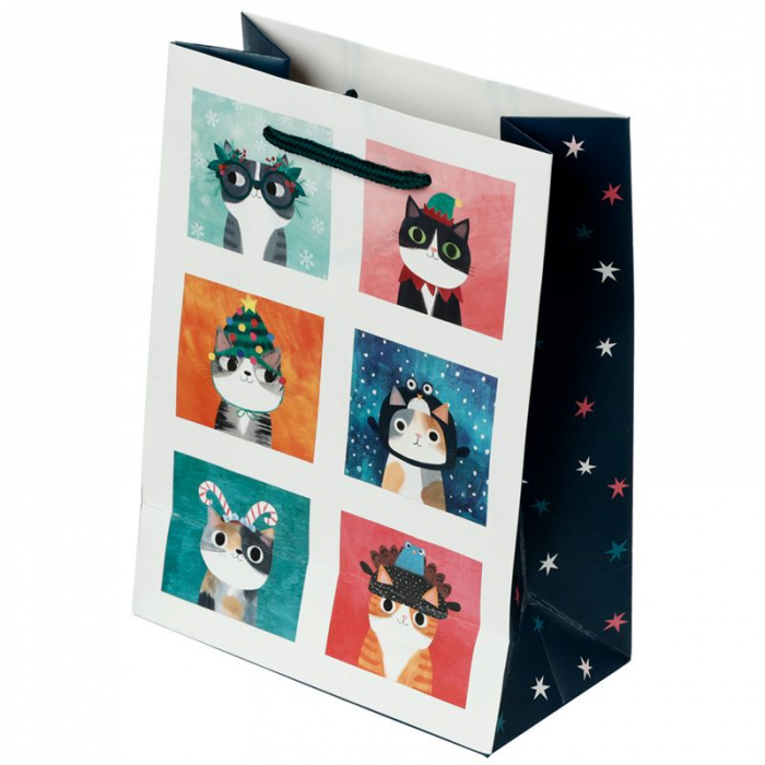 Punga cadou medie - Planet Cat Festive [2]