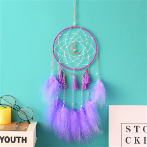 Traditionale - Dreamcatcher Purple Moon