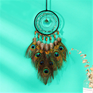 Traditionale - Dreamcatcher Pene de Paun