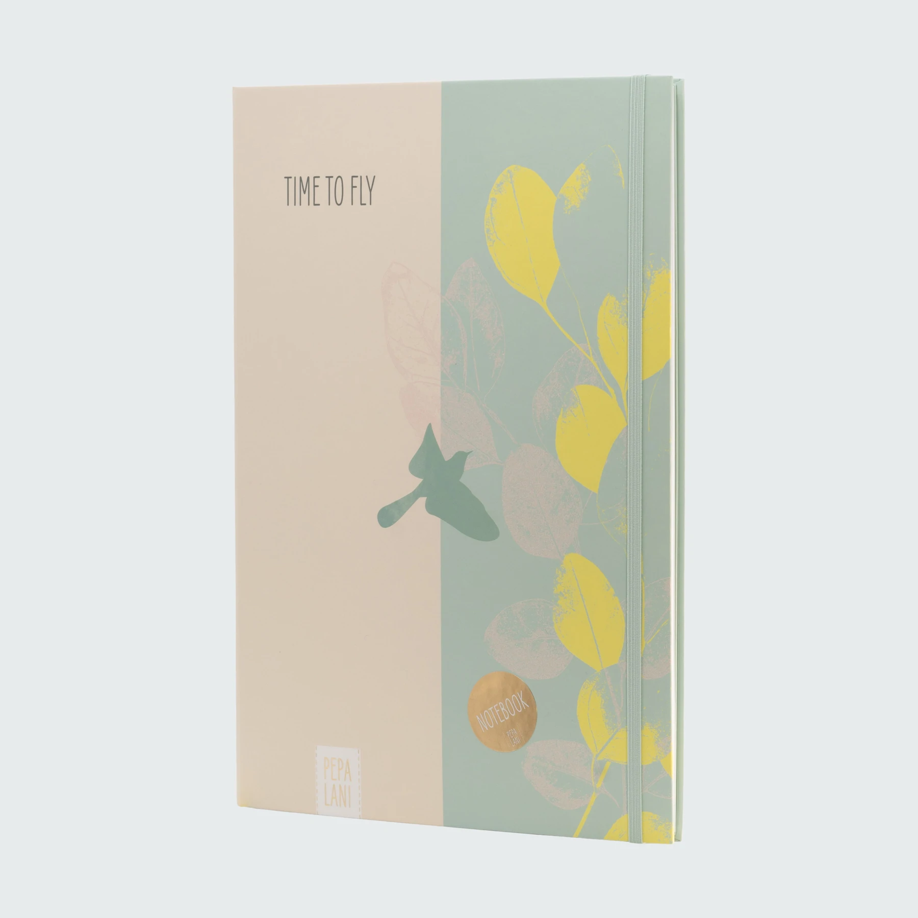 Agenda A4 Pepa Lani Time to Fly [1]