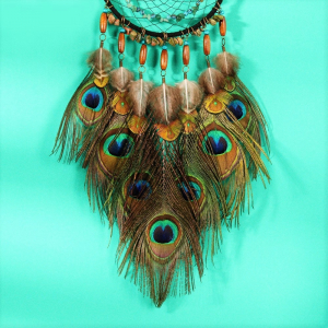 Dreamcatcher Pene de Paun [1]