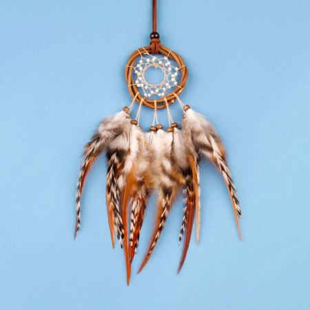 Pentru masina - Dreamcatcher Cheetah