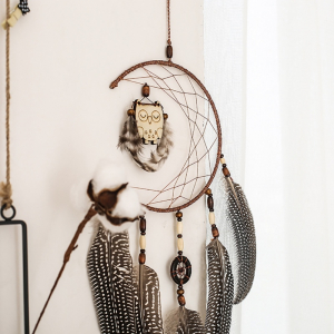 Dreamcatchers - Dreamcatcher Sleeping Owl