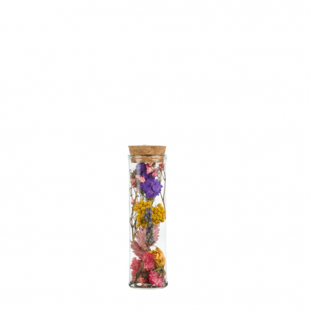 Flori Uscate - Sticluta cu flori uscate - mini