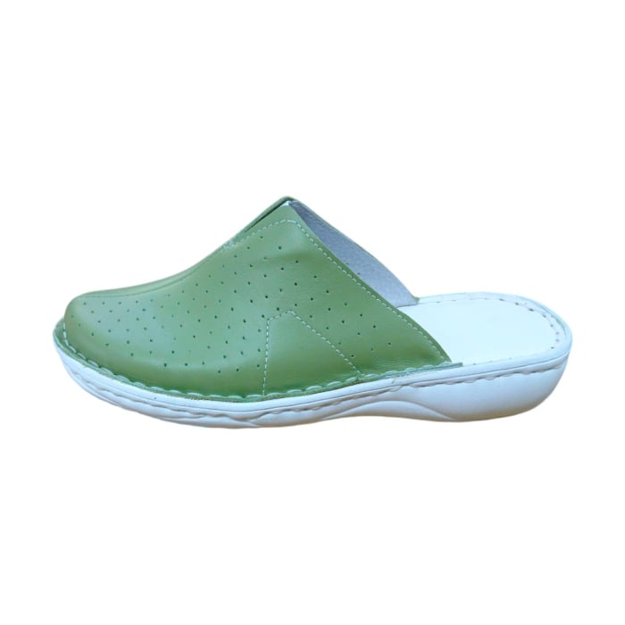 Saboti dama medicinali piele naturala 3060 fistic [2]