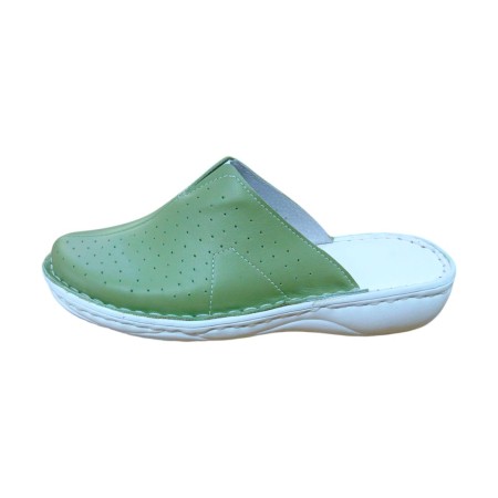 Saboti dama medicinali piele naturala 3060 fistic [1]