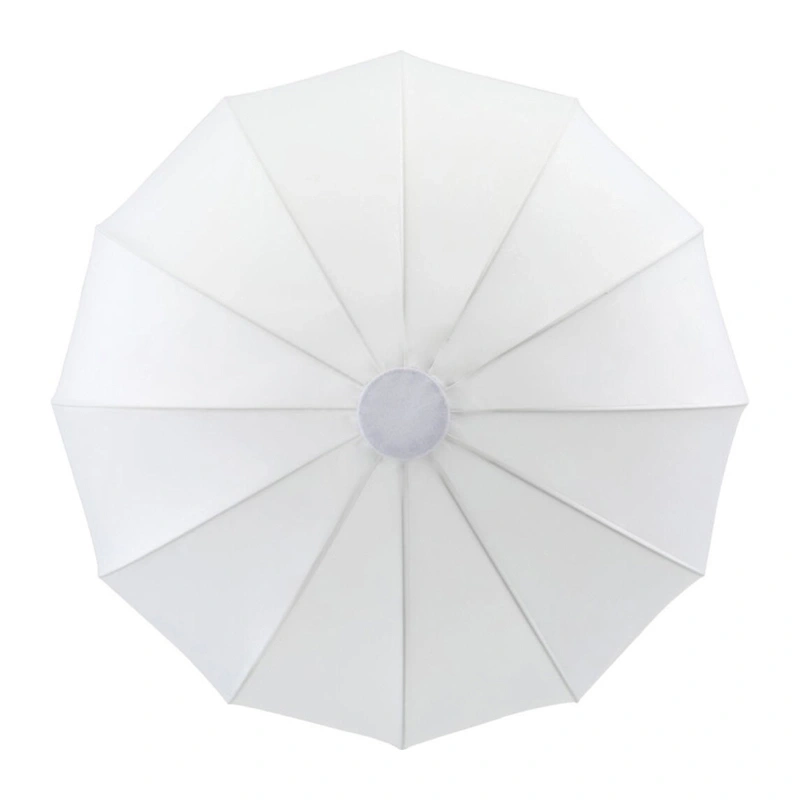 GODOX CS-85D Softbox [3]
