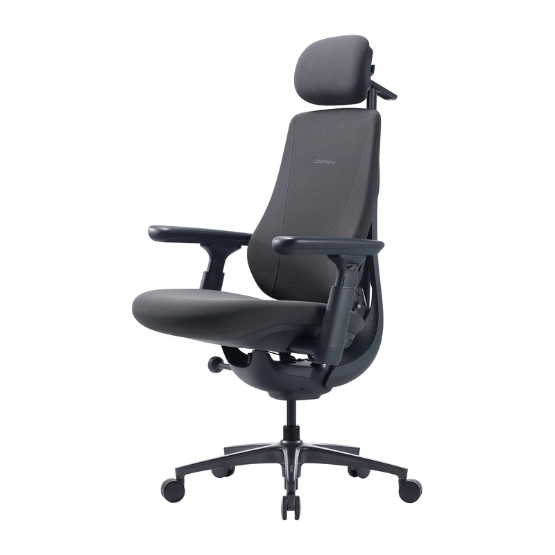 Scaun ergonomic dinamic LiberNovo Maxis (grafit) [3]