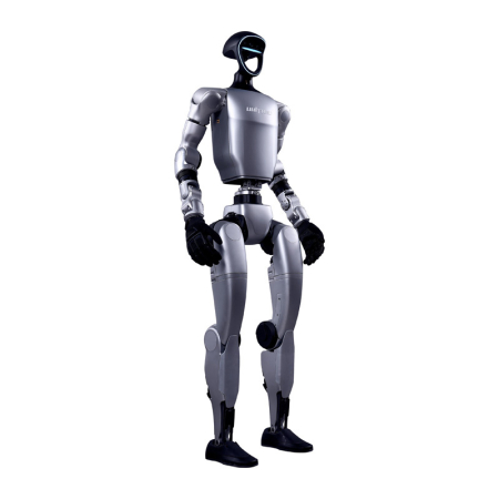 Roboți - Domyslna nazwa