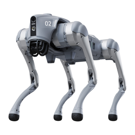 Roboți - Domyslna nazwa