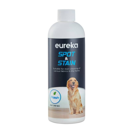 EUREKA NEY100 spalare aspirator [8]