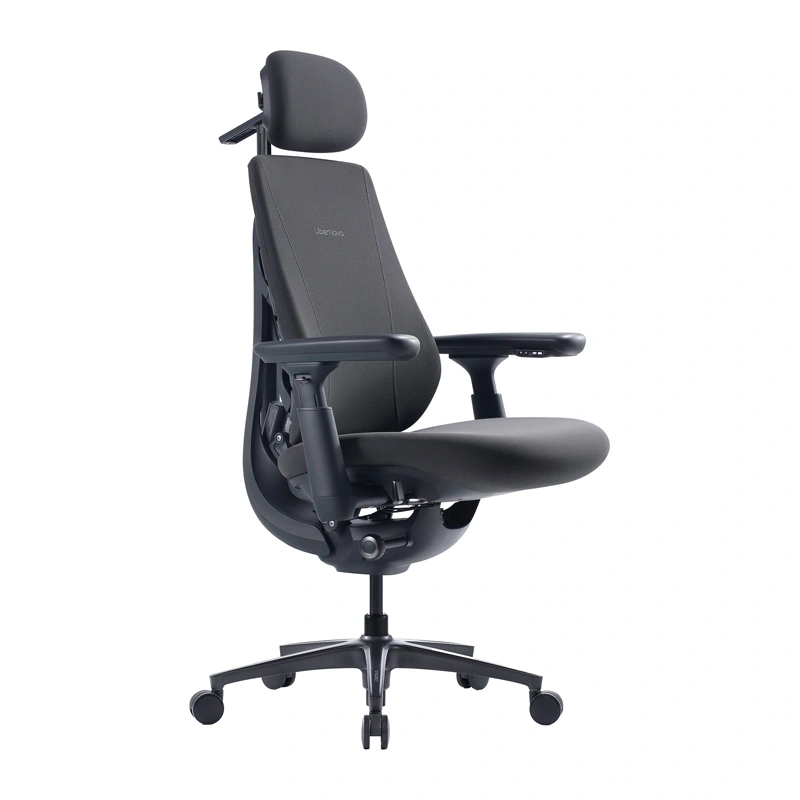 Scaun ergonomic dinamic LiberNovo Maxis [0]