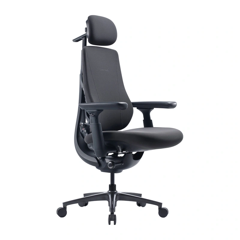 Scaun ergonomic dinamic LiberNovo Maxis (grafit) [0]