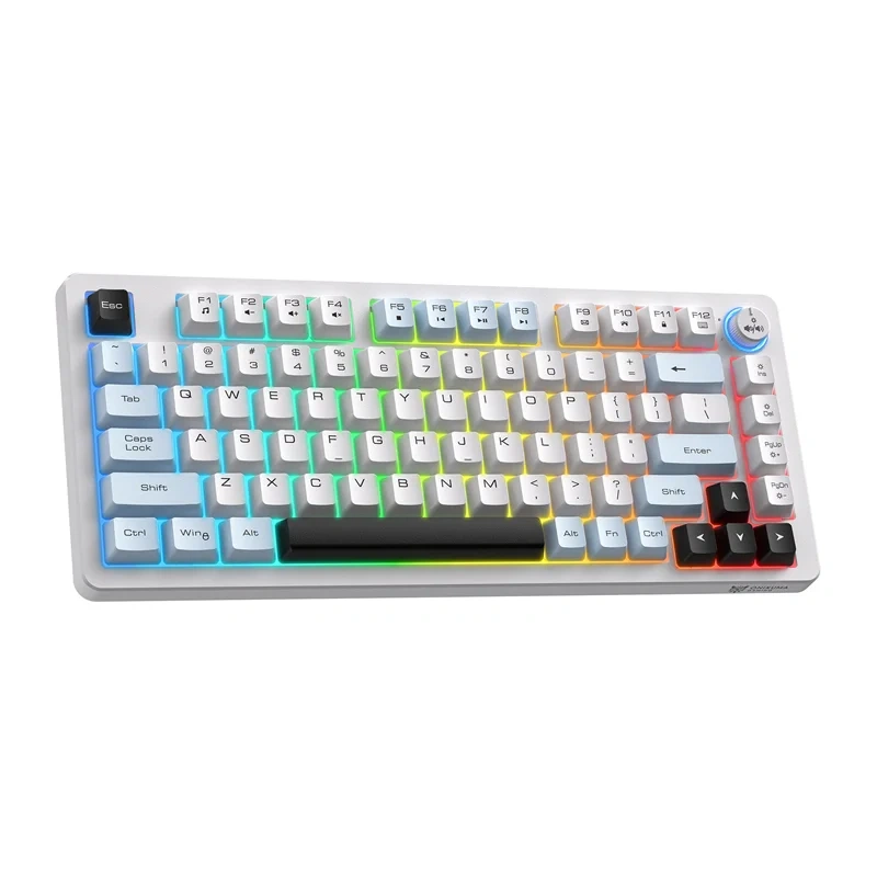 Gadgets 1 - Tastatura pentru jocuri ONIKUMA MT501 (alba)