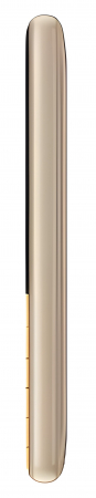 Mobile Phone iSEN F95, Gold,  4G, Dual SIM, 2.8'' TFT, 48MB RAM + T-Flash 32GB, 0.08 MP Camera, 1000 mAh [4]