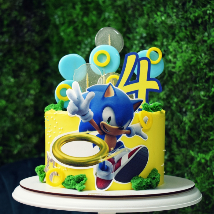 Tort Sonic [1]